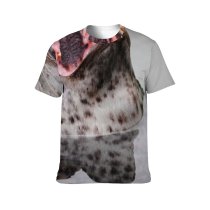 yanfind Adult Full Print T-shirts (men And Women) Cute Seal Wildlife