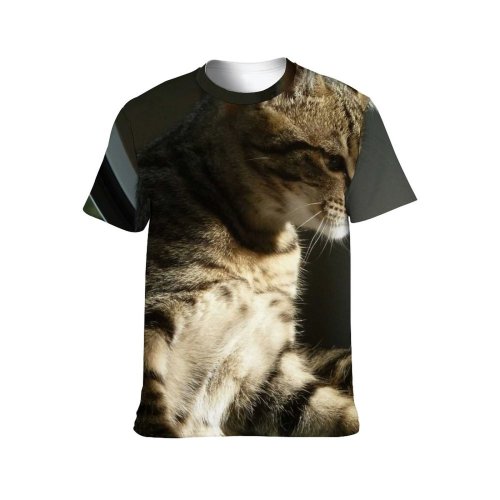 yanfind Adult Full Print T-shirts (men And Women) Pet Cute Grey Fur Portrait Kitten Cat Sleep Furry Tabby