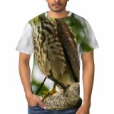 yanfind Adult Full Print T-shirts (men And Women) Beak Besra Sparrowhawk Bird Botanic Botany Branch Calm Colorful Countryside Daylight