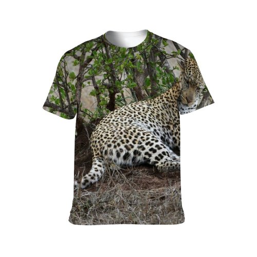 yanfind Adult Full Print T-shirts (men And Women) Grass Big Fur Cat Outdoors Wild Leopard Safari Wildlife Danger Savanna