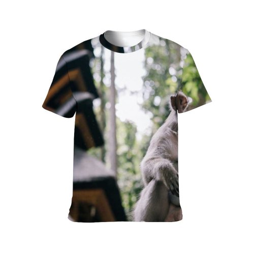 yanfind Adult Full Print T-shirts (men And Women) Park Tree Travel Statue Portrait Sculpture Monkey Outdoors Religion Wildlife Primate