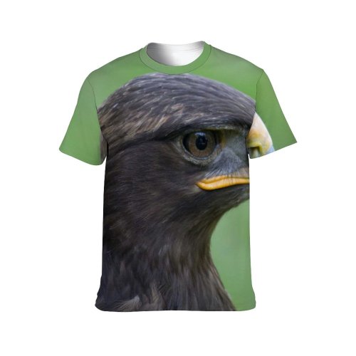 yanfind Adult Full Print T-shirts (men And Women) Bird Beak Eagle Portrait Wild Wildlife Hawk Raptor Avian Endangered