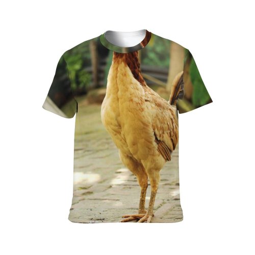 yanfind Adult Full Print T-shirts (men And Women) Bird Farm Grass Chicken Beak Portrait Hen Outdoors Rural Wildlife Feather Poultry