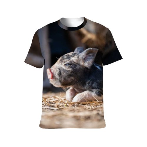 yanfind Adult Full Print T-shirts (men And Women) Dog Fur Portrait Outdoors Barn Little Hay