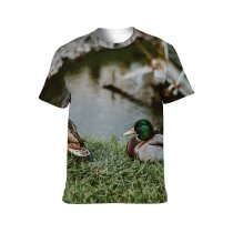 yanfind Adult Full Print T-shirts (men And Women) Avian Beak Biology Bird Watching Blurred Calm Creature Daytime Drake Duck Ecosystem