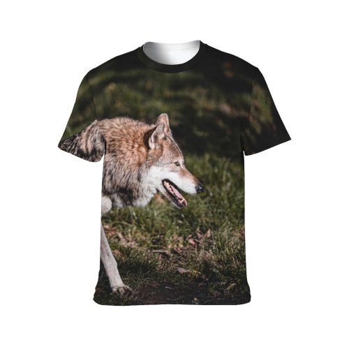 yanfind Adult Full Print T-shirts (men And Women) Park Canidae Carnivore Creeping Danger Dangerous Ears Farm Fluffy Fur Furry Grass