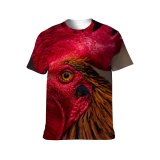 yanfind Adult Full Print T-shirts (men And Women) Bird Chicken Beak Portrait Hen Outdoors Wildlife Feather Poultry Avian Crest Cockerel