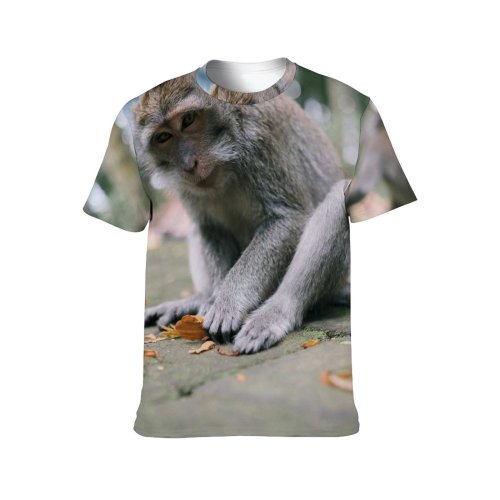 yanfind Adult Full Print T-shirts (men And Women) Wood Cute Park Tree Fur Portrait Monkey Outdoors Wild Baby