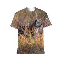 yanfind Adult Full Print T-shirts (men And Women) Grass Big Grassland Cat Outdoors Wild Safari Wildlife Danger Daylight Stripe