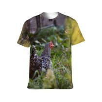 yanfind Adult Full Print T-shirts (men And Women) Bird Summer Farm Grass Fall Chicken Hen Outdoors Rural Beautiful Wildlife