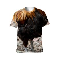 yanfind Adult Full Print T-shirts (men And Women) Bird Farm Chicken Beak Hen Outdoors Rural Wildlife Feather Poultry Avian Crest