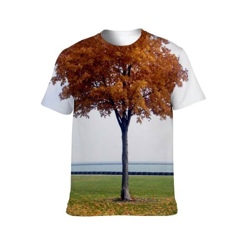 yanfind Adult Full Print Tshirts (men And Women) Autumn Fall Fallingleaves Shed Trees Leaf Season