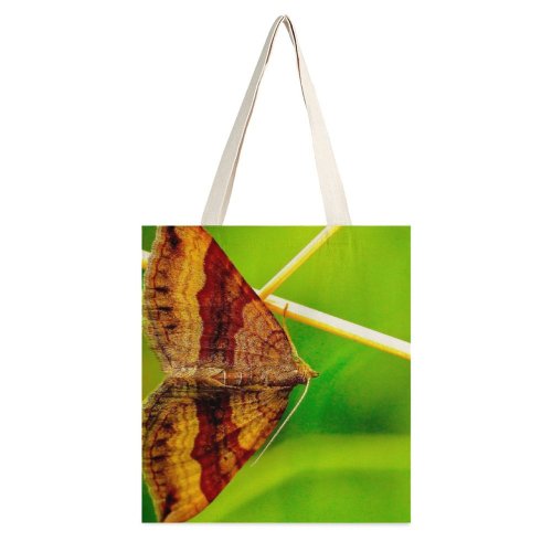 yanfind Great Martin Canvas Tote Bag Double Butterfly Insect Invertebrate Moth Birds Creative Commons white-style1 38×41cm