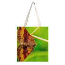 yanfind Great Martin Canvas Tote Bag Double Butterfly Insect Invertebrate Moth Birds Creative Commons white-style1 38×41cm