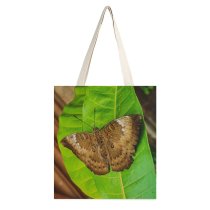 yanfind Great Martin Canvas Tote Bag Double Butterfly Insect Invertebrate Leaf Plant Moth Fruits Pineapple #Wallpaper #Mobile #Click #Trending white-style1 38×41cm