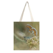 yanfind Great Martin Canvas Tote Bag Double Butterfly Insect Invertebrate Azuré Bleu Adonis Creative Commons white-style1 38×41cm