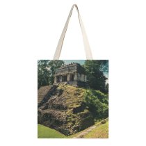 yanfind Great Martin Canvas Tote Bag Double Field Grassland Outdoors Palenque Chis Mexico Mound Slope Grass Plant white-style1 38×41cm