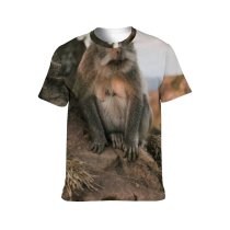 yanfind Adult Full Print T-shirts (men And Women) Alone Calm Cliff Coast Coastline Creature Fauna Feed Fur Habitat