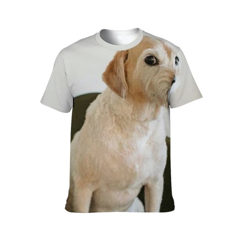 yanfind Adult Full Print T-shirts (men And Women) Alone Apartment Big Calm Carefree Chair Comfort Cozy Curious Cute Daytime