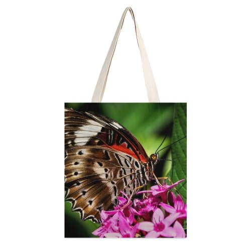 yanfind Great Martin Canvas Tote Bag Double Butterfly Australia Bee Honey Insect Invertebrate Cairns Botanic Gardens Conservatory Monarch Tongue white-style1 38×41cm