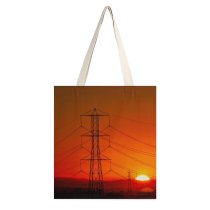 yanfind Great Martin Canvas Tote Bag Double Cable Lines Light Electric Transmission Utility Pole Gold Foggy Fog white-style1 38×41cm