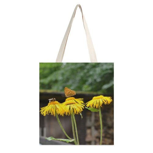 yanfind Great Martin Canvas Tote Bag Double Butterfly Schsische Schweiz white-style1 38×41cm
