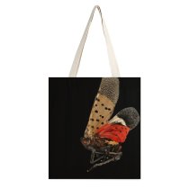 yanfind Great Martin Canvas Tote Bag Double Butterfly Insect Invertebrate Electrical Device Microphone Stock white-style1 38×41cm