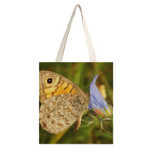 yanfind Great Martin Canvas Tote Bag Double Butterfly Invertebrate Insect Purple Bokeh Cactus Flora Plant white-style1 38×41cm