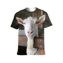 yanfind Adult Full Print T-shirts (men And Women) Agriculture Barn Barrier Blurred Building Cattle Country Countryside Creature Domesticated Enclosure Farm