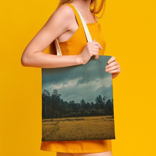 yanfind Great Martin Canvas Tote Bag Double Field Grassland Outdoors Countryside Paddy Anguruwathota Sri Lanka Plant Vegetation Grey white-style1 38×41cm