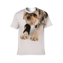 yanfind Adult Full Print T-shirts (men And Women) Active Adorable Ball Calm Creature Curious Dog Floor Friend Friendly
