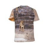 yanfind Adult Full Print T-shirts (men And Women) Aged Architecture Building Calm City Cobblestone Space Curious Cute District Dog Exterior