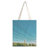 yanfind Great Martin Canvas Tote Bag Double Cable Lines Electric Transmission 中国黑龙江省双鸭山市友谊县 Building Scenery Utility Pole white-style1 38×41cm