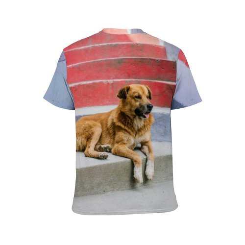 yanfind Adult Full Print T-shirts (men And Women) Adorable Alone Blurred Calm Colorful Creature Curious Cute Dog Enjoy Exterior