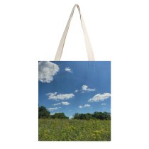 yanfind Great Martin Canvas Tote Bag Double Field Grassland Outdoors Countryside Farm Meadow Rural Wilmington United States Azure Sky white-style1 38×41cm