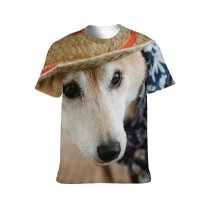 yanfind Adult Full Print T-shirts (men And Women) Adorable Carpet Casual Charming Cloth Comfort Cozy Creature Cute