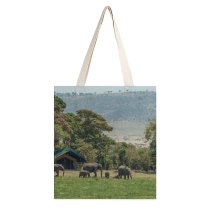 yanfind Great Martin Canvas Tote Bag Double Field Grassland Outdoors Elephant Wildlife Little Governors Camp Kenya Countryside Farm Rural white-style1 38×41cm