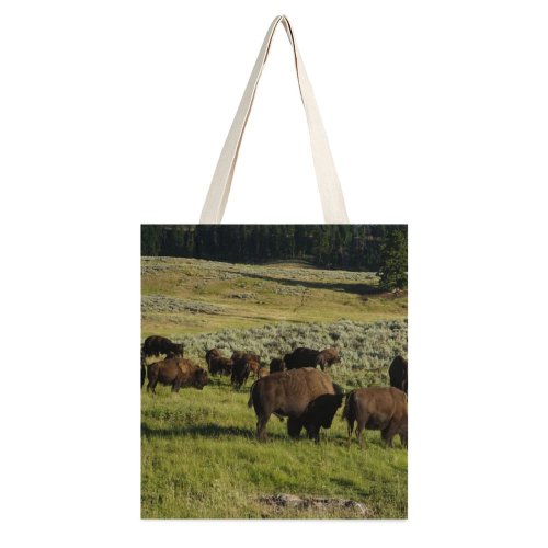yanfind Great Martin Canvas Tote Bag Double Cattle Cow Field Grassland Outdoors Countryside Farm Meadow Rural Lamar Valley Wyoming white-style1 38×41cm