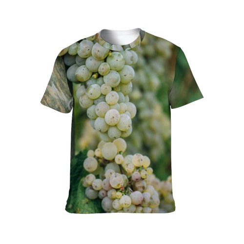 yanfind Adult Full Print T-shirts (men And Women) Agriculture Agronomy Botany Branch Bunch Bush Countryside Cultivate Farm Flora Foliage