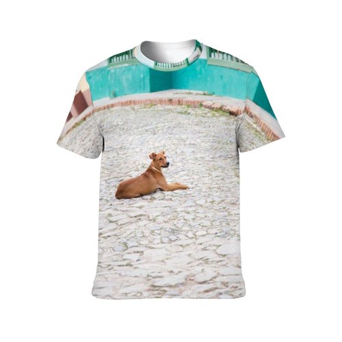 yanfind Adult Full Print T-shirts (men And Women) Adorable Aged Architecture Building Calm Charming Chill Chordate Cobblestone Cute
