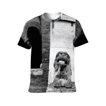 yanfind Adult Full Print T-shirts (men And Women) Abandoned Aged Arch Architecture Brick Building Bw Cement City Classic Column Construction