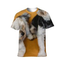 yanfind Adult Full Print T-shirts (men And Women) Anniversary Apartment Armchair Birthday Cake Celebrate Comfort Congratulate Cozy Creature Cute Dog