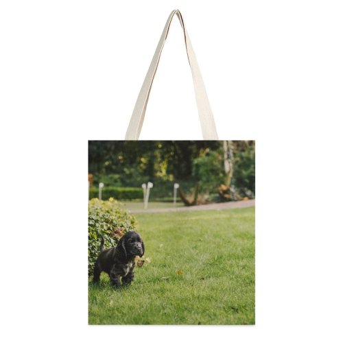yanfind Great Martin Canvas Tote Bag Double Dog Pet Grass Plant Stock white-style1 38×41cm