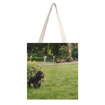 yanfind Great Martin Canvas Tote Bag Double Dog Pet Grass Plant Stock white-style1 38×41cm