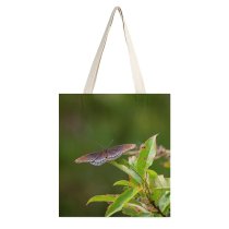 yanfind Great Martin Canvas Tote Bag Double Butterfly Insect Invertebrate Crowders State Park Linwood Road Kings United white-style1 38×41cm