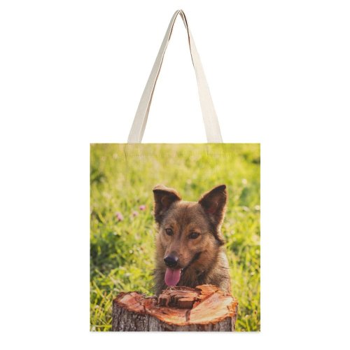 yanfind Great Martin Canvas Tote Bag Double Dog German Pet Portrait Friend Summer Friends Grass Plant white-style1 38×41cm
