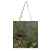 yanfind Great Martin Canvas Tote Bag Double Butterfly Insect Invertebrate Monarch Plant For white-style1 38×41cm