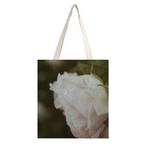 yanfind Great Martin Canvas Tote Bag Double Flower Plant Rose Grey Andrena Bee Hornet Insect Invertebrate Creative white-style1 38×41cm