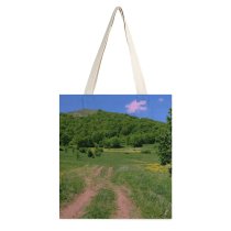 yanfind Great Martin Canvas Tote Bag Double Field Grassland Outdoors Countryside Farm Rural Meadow Aghveran Armenia Pasture Grass Plant white-style1 38×41cm