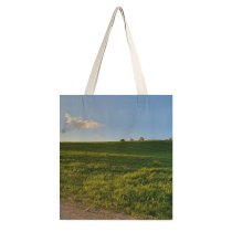 yanfind Great Martin Canvas Tote Bag Double Field Grassland Outdoors Countryside Grass Plant Ilam Province Iran Farm Meadow Rural white-style1 38×41cm